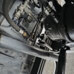 WhatsApp Image 2026-01-20 at 17.16.57dffgsfg